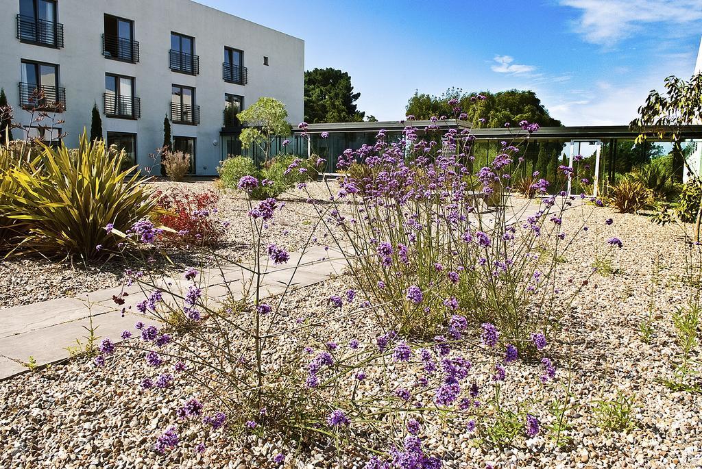 Lifehouse Spa And Hotel Frinton-on-Sea Esterno foto